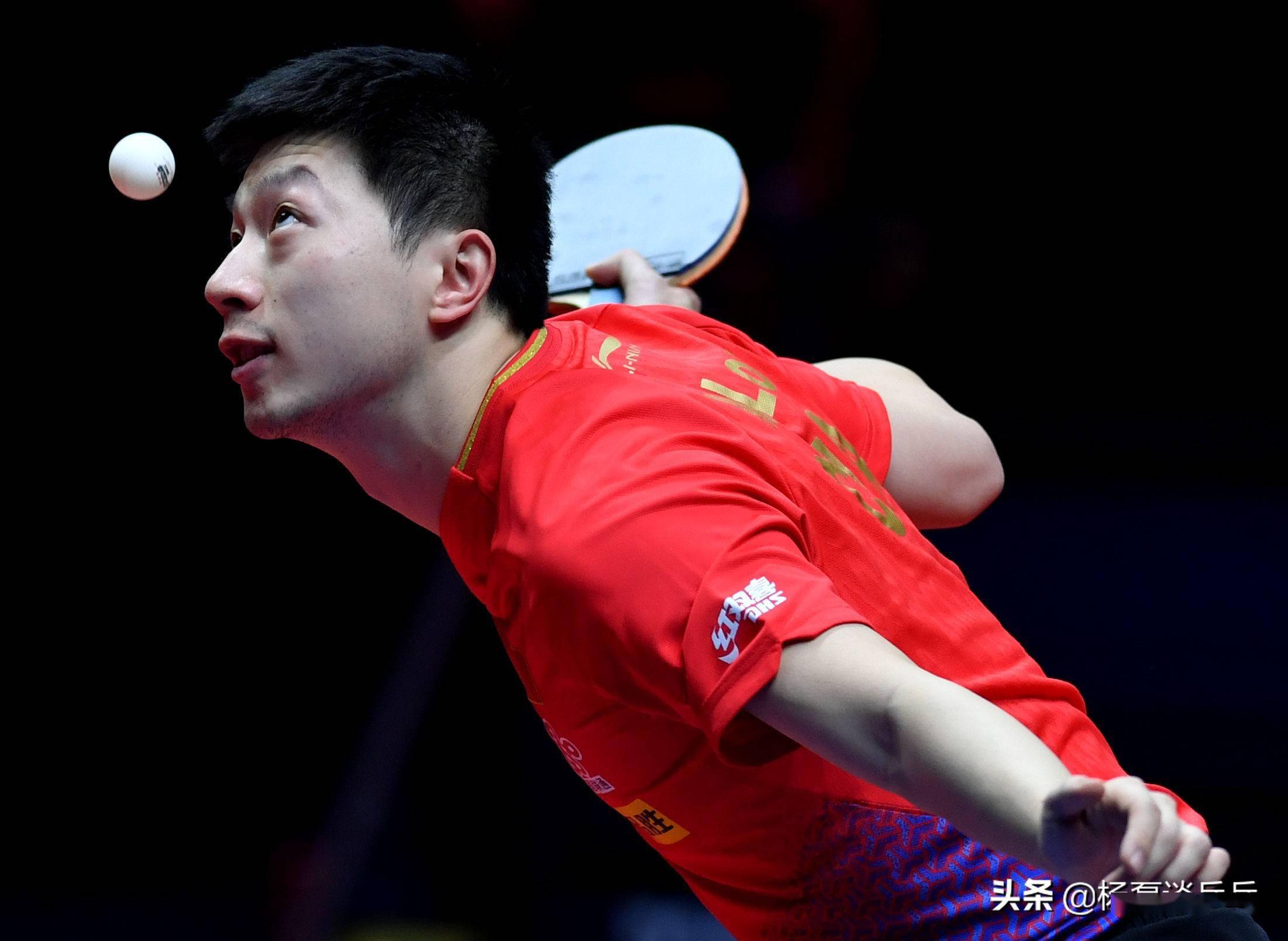 芝加哥球迷 芝加哥球迷